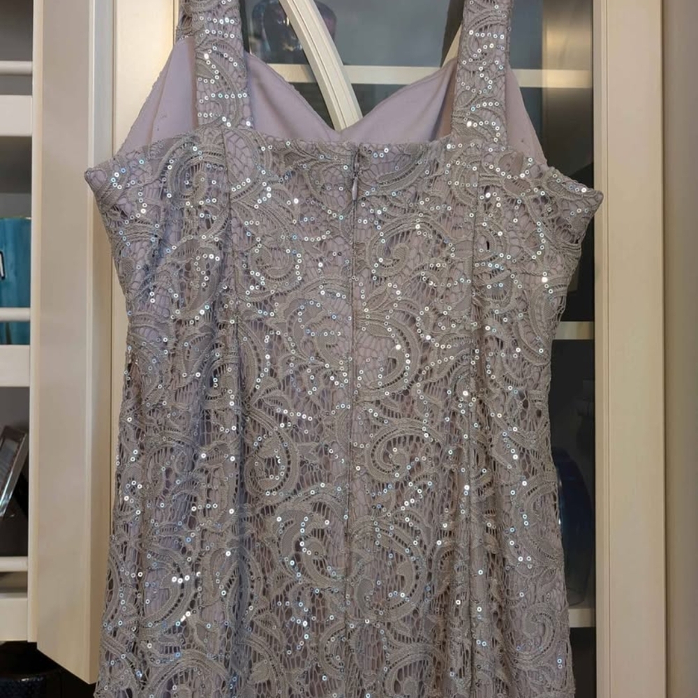 Elegant Silver Evening Gown with Sheer Overlay - Picture 4 of 6